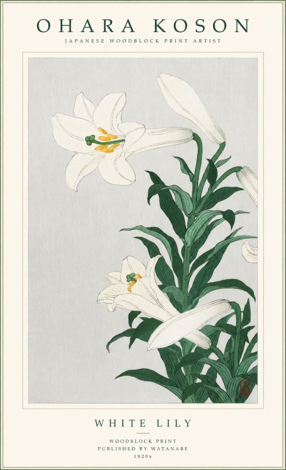 Ohara Koson White Lily No1 - Juliste
