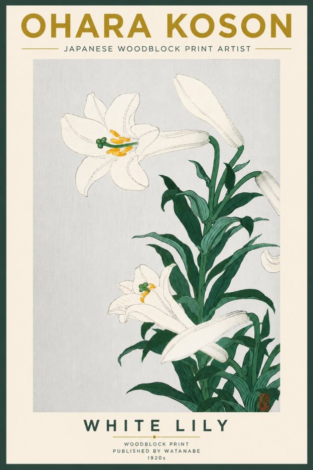 Ohara Koson White Lily No5 - Juliste