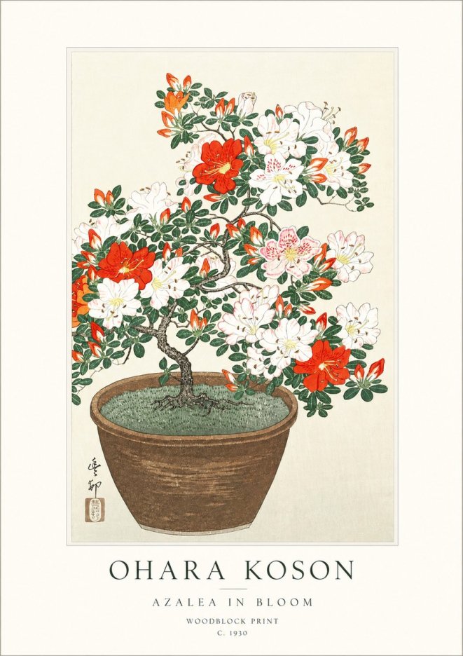 Ohara Koson Azalea in Bloom No1 - Juliste