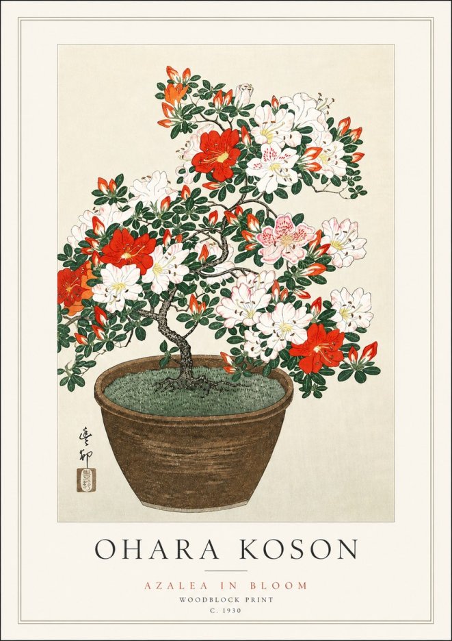 Ohara Koson Azalea in Bloom No3 - Juliste
