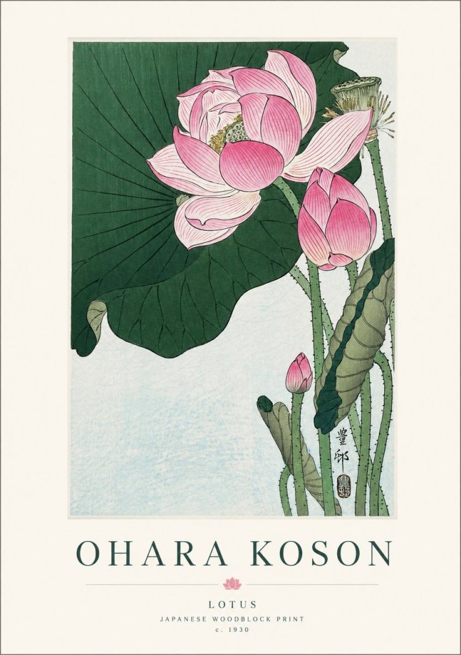 Ohara Koson Lotus II No1 - Juliste