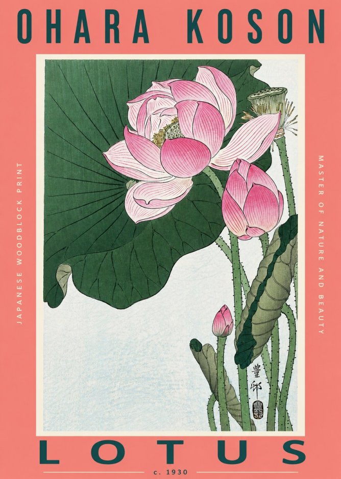 Ohara Koson Lotus II No2 - Juliste