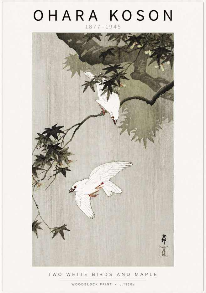 Ohara Koson Two White Birds and Maple No5 - Juliste