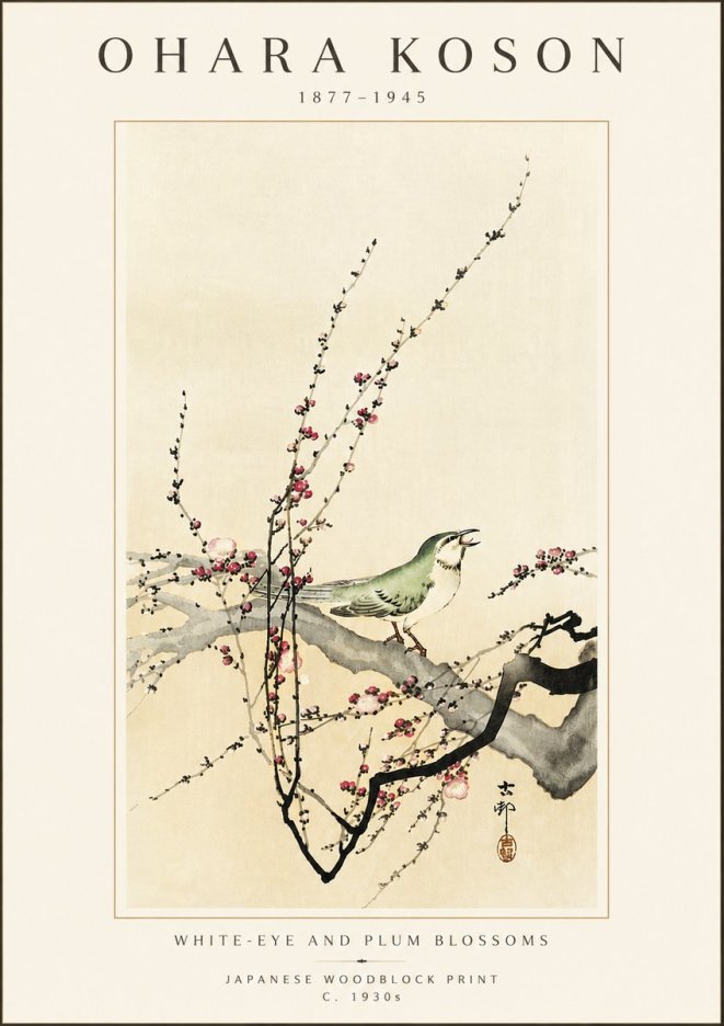 Ohara Koson White-eye and Plum Blossoms No5 - Juliste