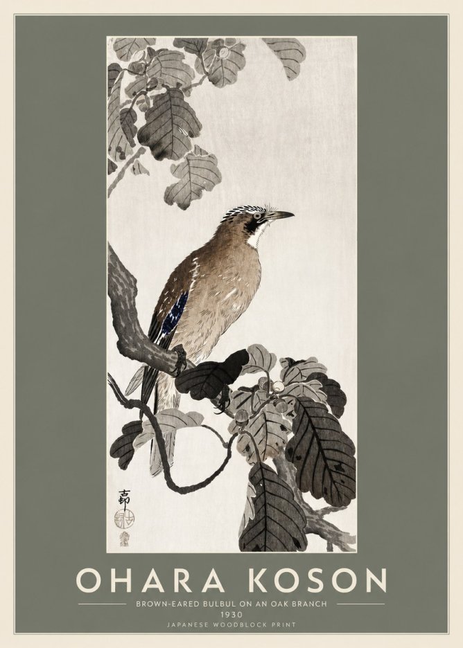 Ohara Koson Brown-eared Bulbul on an Oak Branch No2 - Juliste