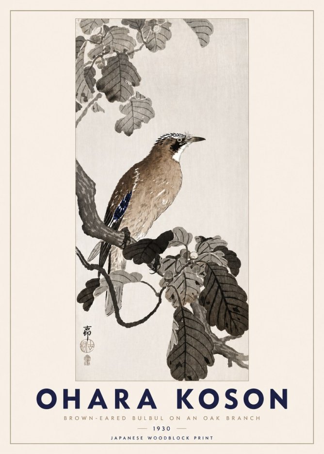 Ohara Koson Brown-eared Bulbul on an Oak Branch No3 - Juliste