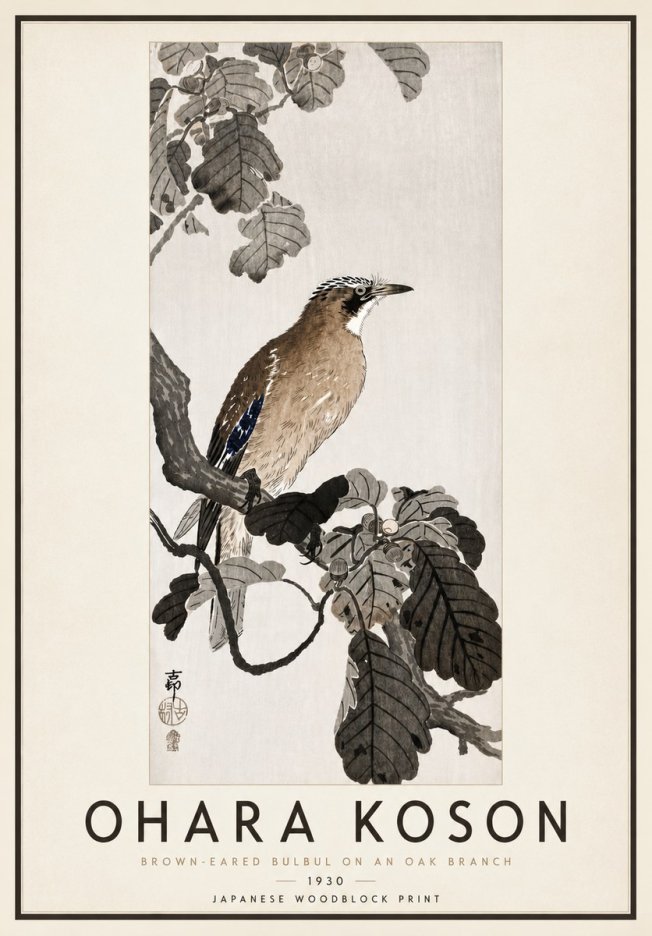 Ohara Koson Brown-eared Bulbul on an Oak Branch No4 - Juliste