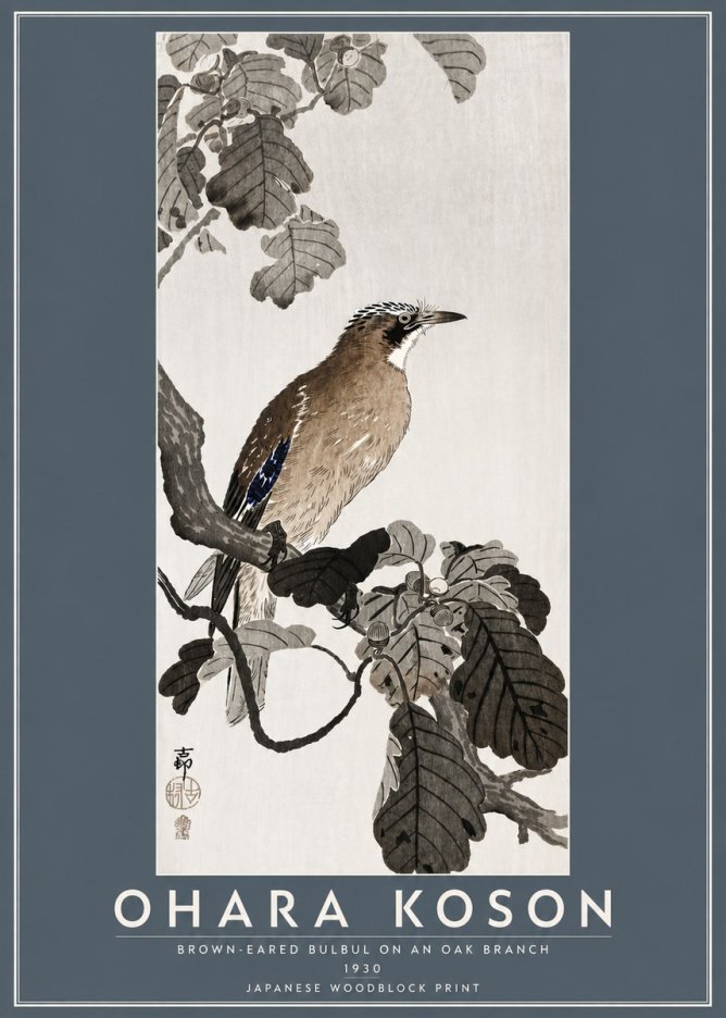 Ohara Koson Brown-eared Bulbul on an Oak Branch No5 - Juliste