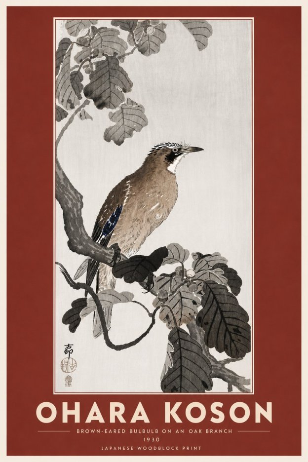 Ohara Koson Brown-eared Bulbul on an Oak Branch No6 - Juliste