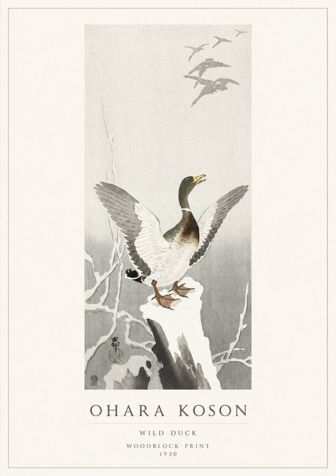Ohara Koson Wild Duck No1 - Juliste