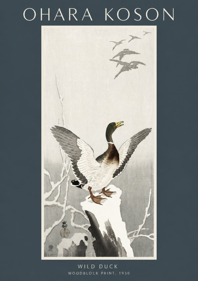 Ohara Koson Wild Duck No2 - Juliste