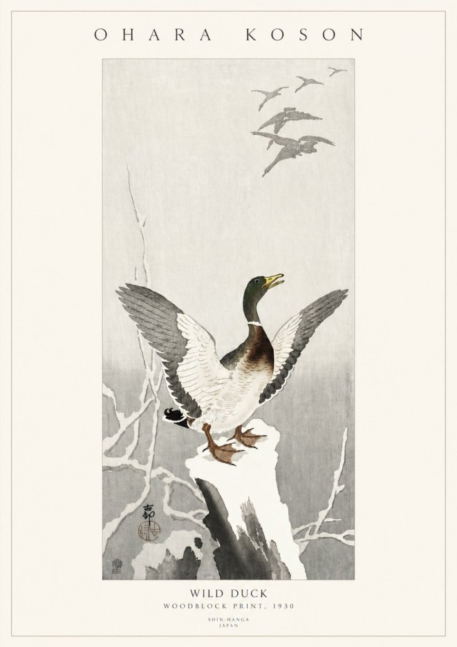 Ohara Koson Wild Duck No3 - Juliste