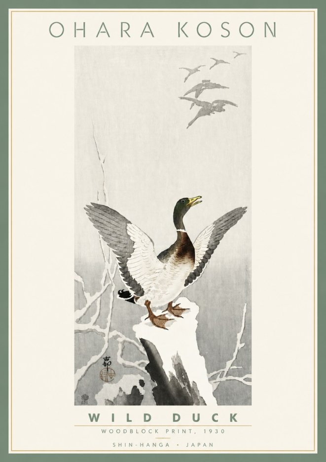 Ohara Koson Wild Duck No4 - Juliste