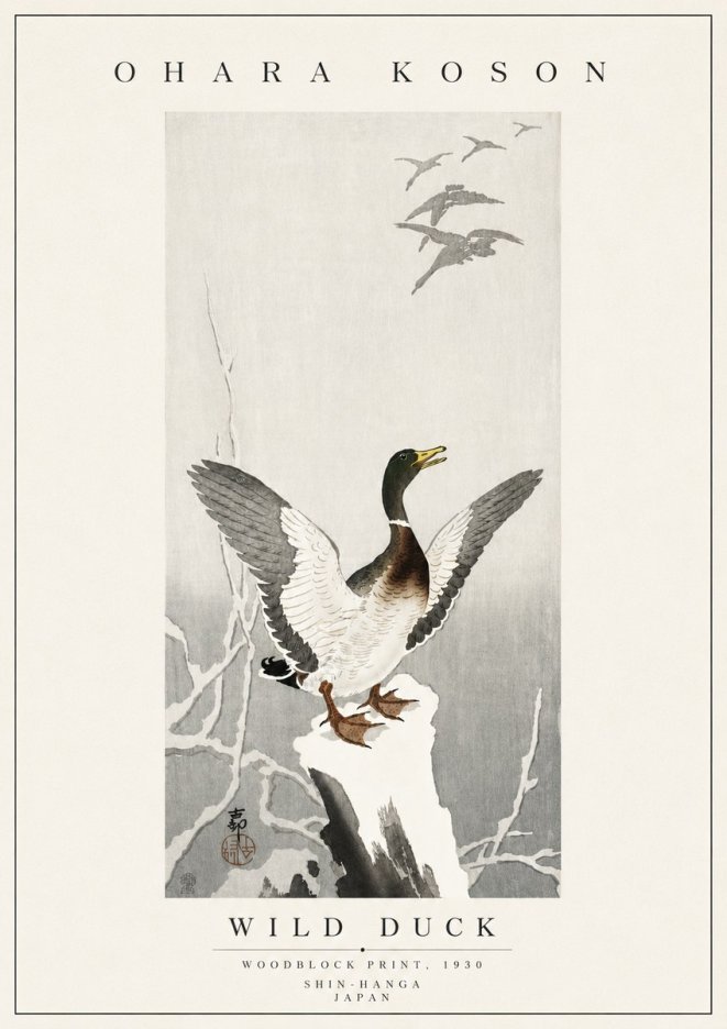 Ohara Koson Wild Duck No5 - Juliste