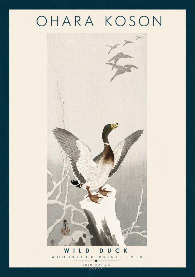 Ohara Koson Wild Duck No6 - Juliste