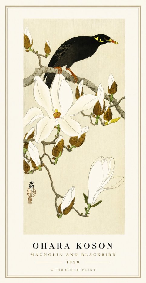 Ohara Koson Magnolia and Blackbird No1 - Juliste