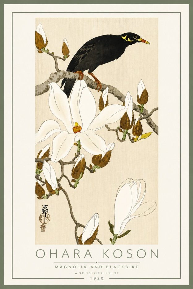 Ohara Koson Magnolia and Blackbird No5 - Juliste