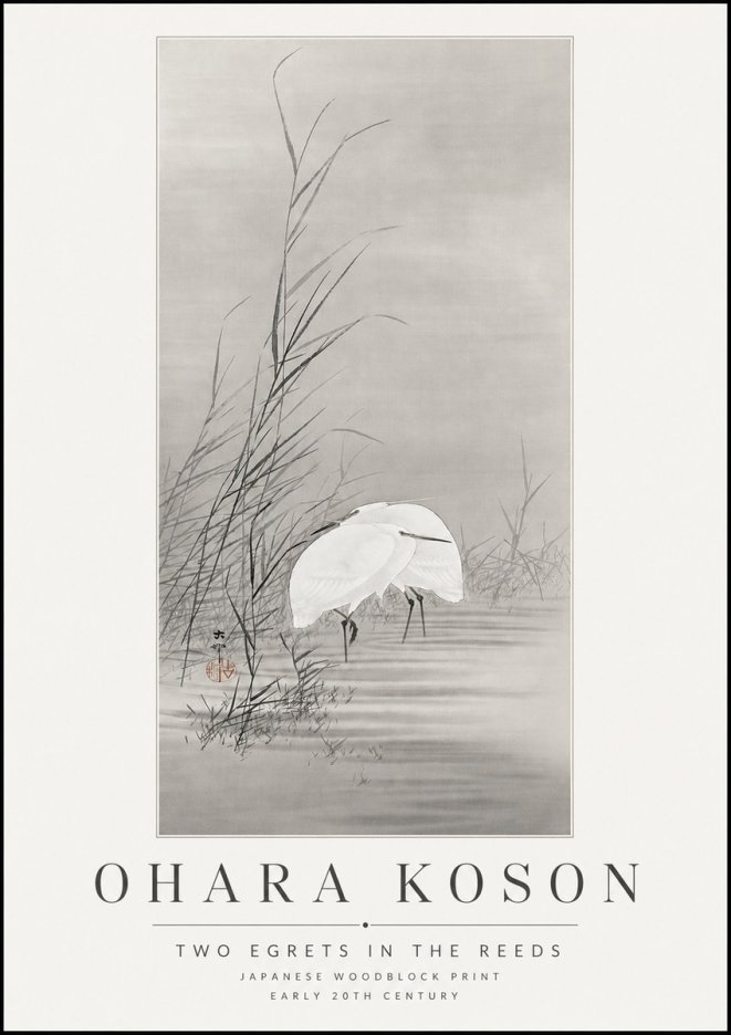 Ohara Koson Two Egrets in the Reeds No3 - Juliste