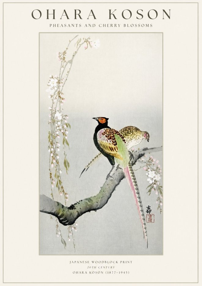 Ohara Koson Pheasants and Cherry Blossoms II No1 - Juliste