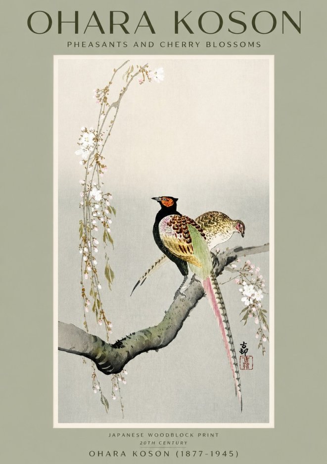 Ohara Koson Pheasants and Cherry Blossoms II No2 - Juliste