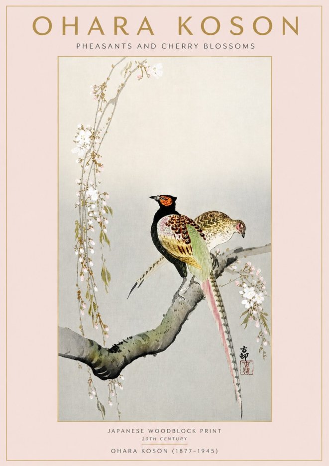 Ohara Koson Pheasants and Cherry Blossoms II No3 - Juliste