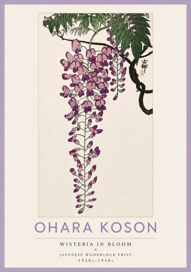 Ohara Koson Wisteria in Bloom No4 - Juliste