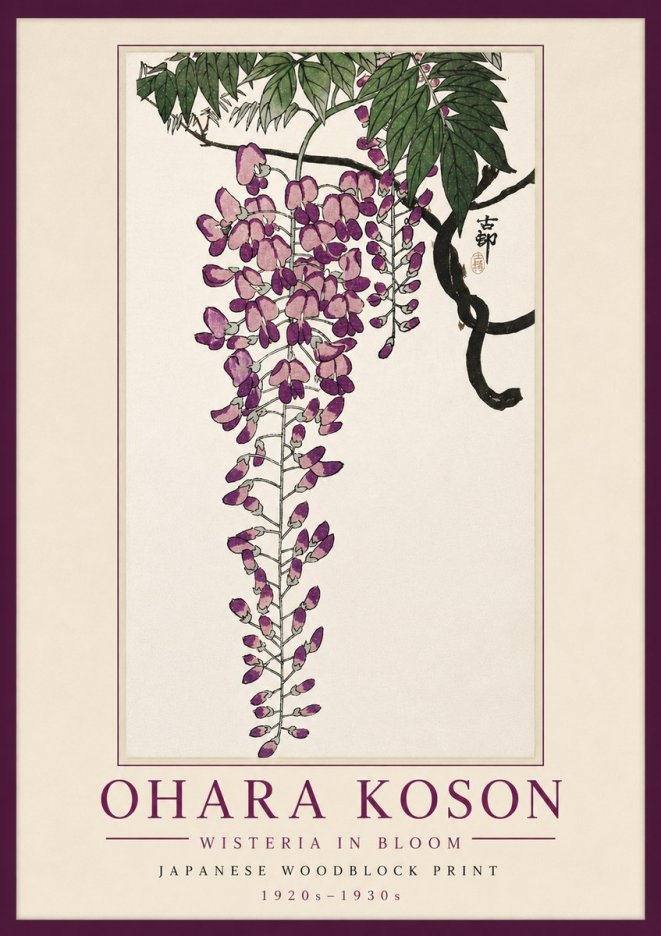 Ohara Koson Wisteria in Bloom No5 - Juliste