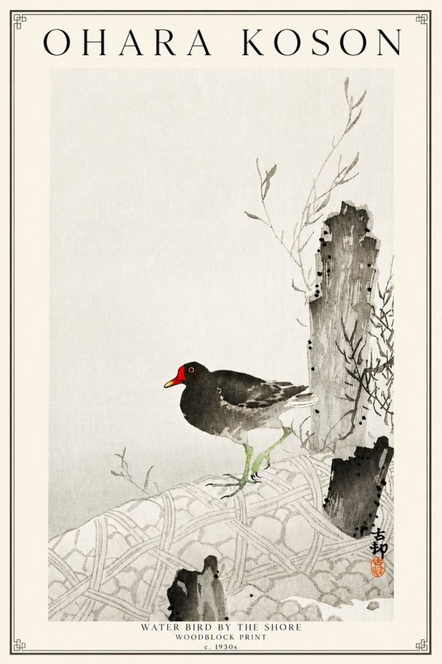 Ohara Koson Water Bird by the Shore No3 - Juliste