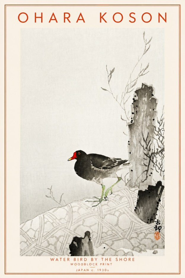 Ohara Koson Water Bird by the Shore No4 - Juliste