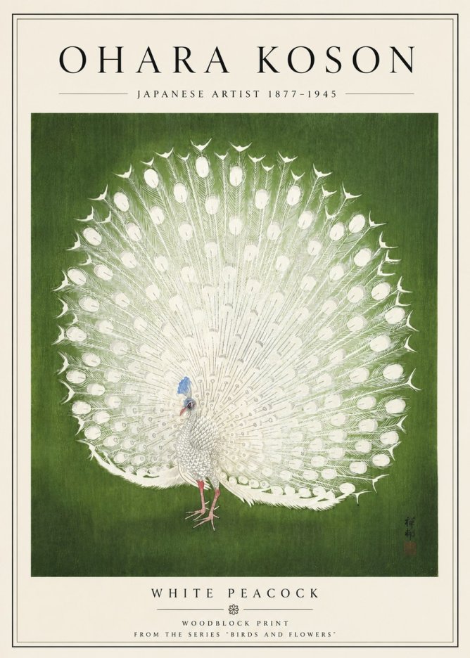 Ohara Koson White Peacock No5 - Juliste