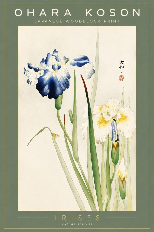 Ohara Koson Irises II No2 - Juliste