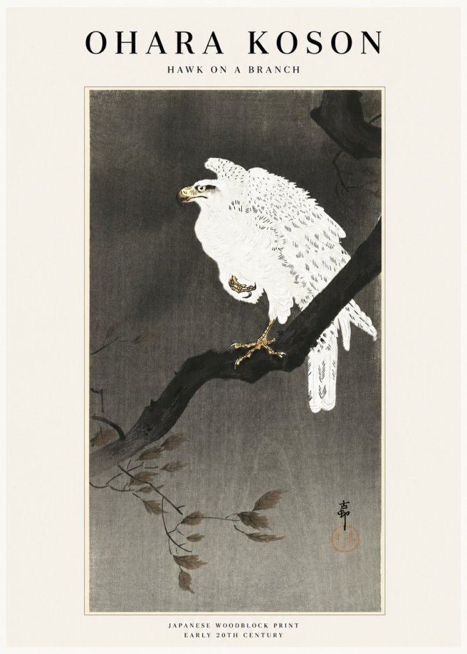 Ohara Koson Hawk on a Branch II No1 - Juliste