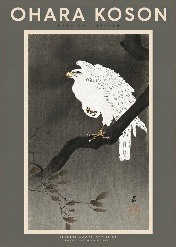 Ohara Koson Hawk on a Branch II No2 - Juliste