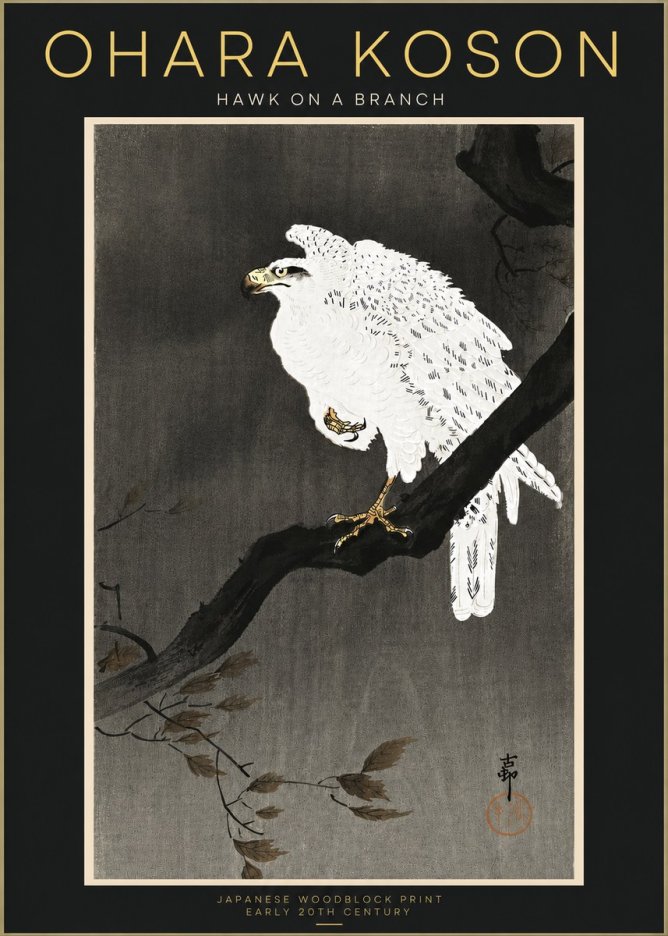 Ohara Koson Hawk on a Branch II No4 - Juliste