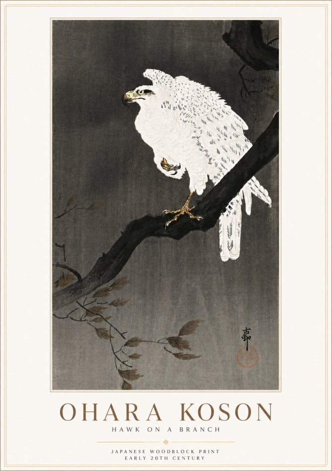 Ohara Koson Hawk on a Branch II No6 - Juliste
