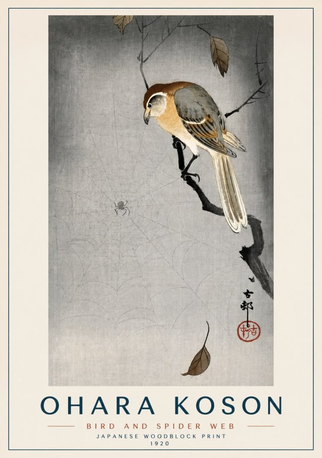 Ohara Koson Bird and Spider Web II No3 - Juliste