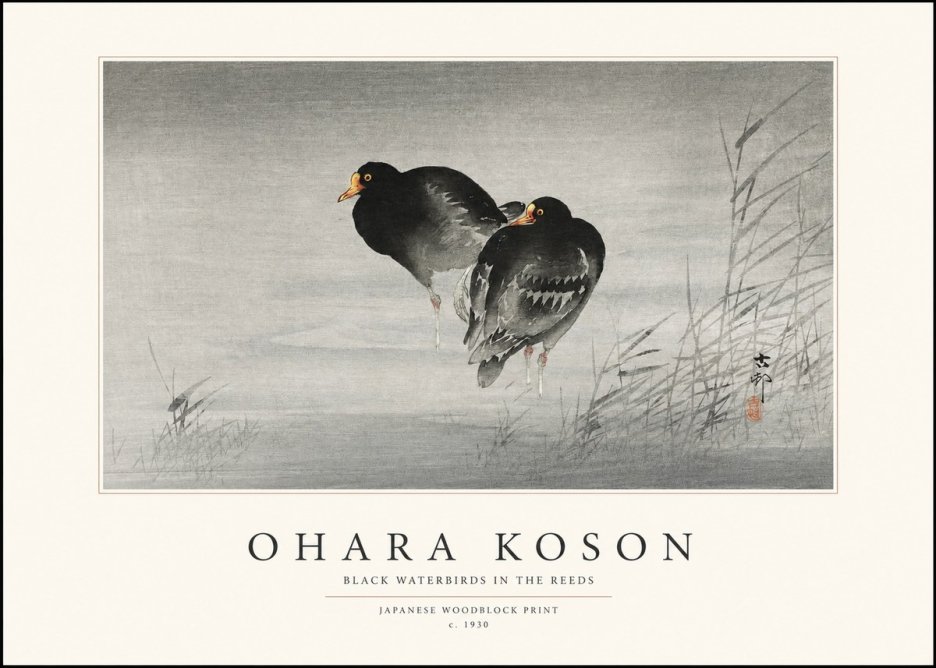 Ohara Koson Black Waterbirds in the Reeds No1 - Juliste