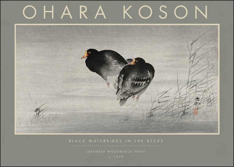 Ohara Koson Black Waterbirds in the Reeds No2 - Juliste