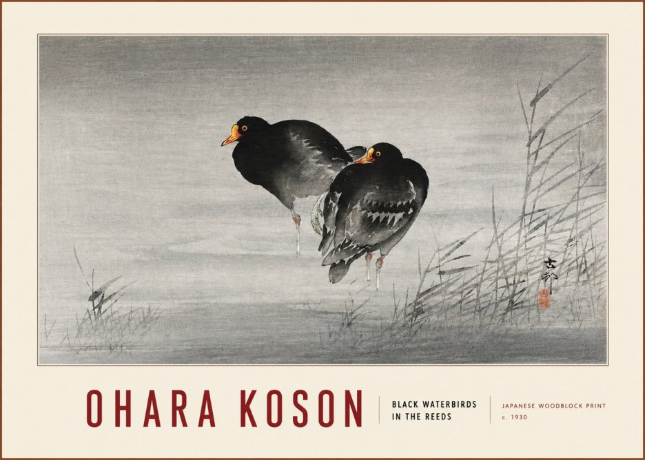 Ohara Koson Black Waterbirds in the Reeds No3 - Juliste