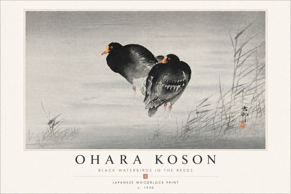Ohara Koson Black Waterbirds in the Reeds No4 - Juliste