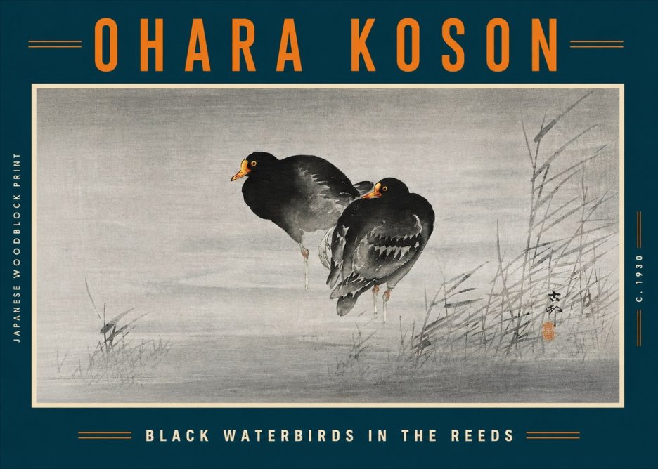 Ohara Koson Black Waterbirds in the Reeds No5 - Juliste