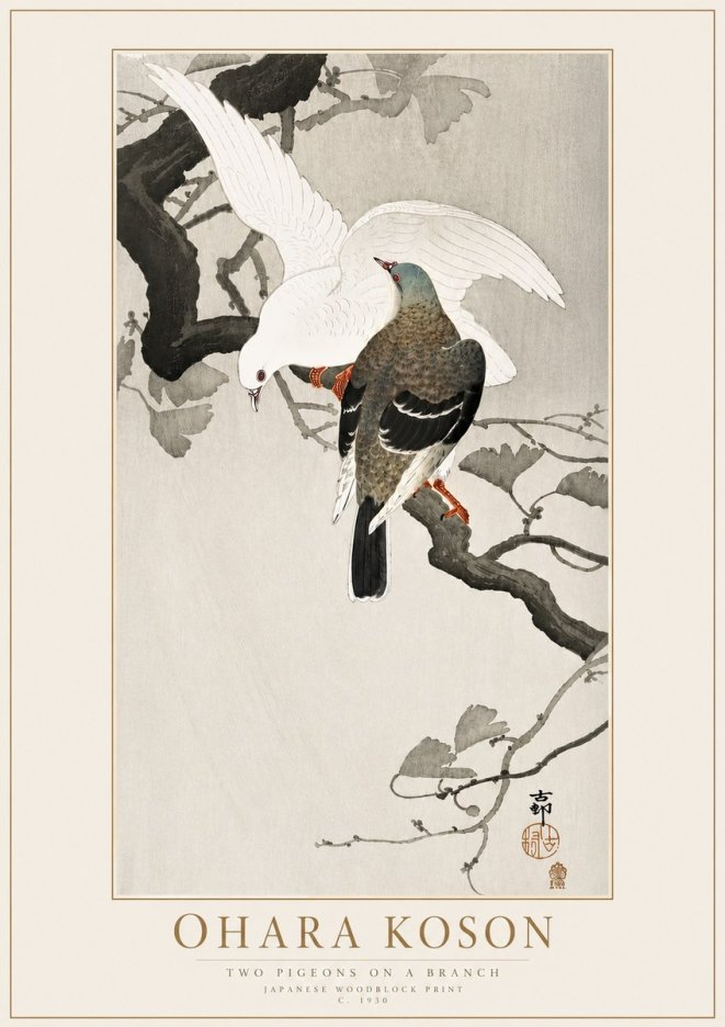 Ohara Koson Two Pigeons on a Branch No4 - Juliste