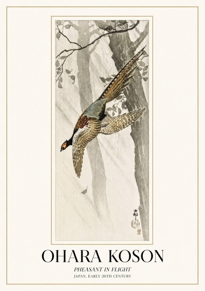 Ohara Koson Pheasant in Flight No1 - Juliste