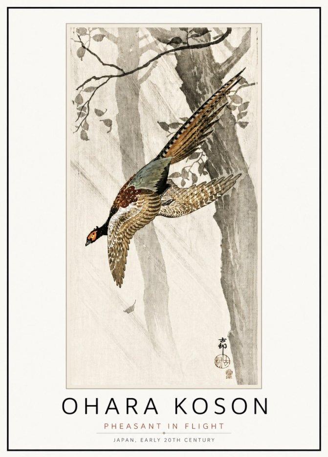 Ohara Koson Pheasant in Flight No4 - Juliste