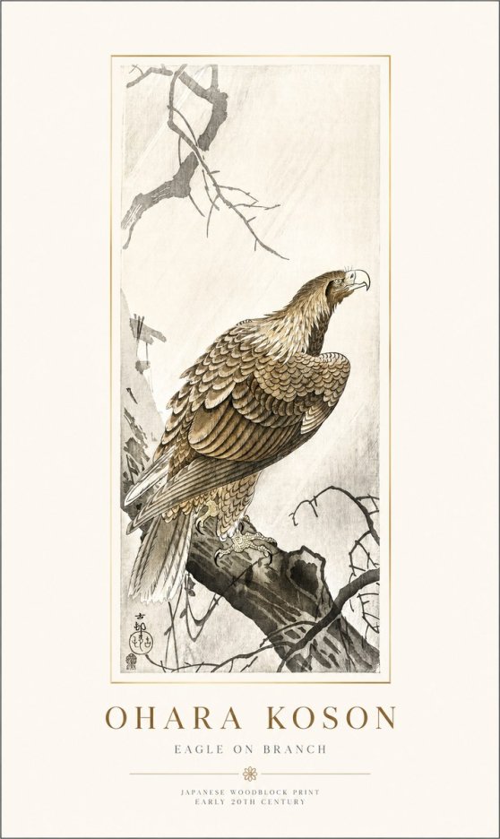 Ohara Koson Eagle on Branch No1 - Juliste