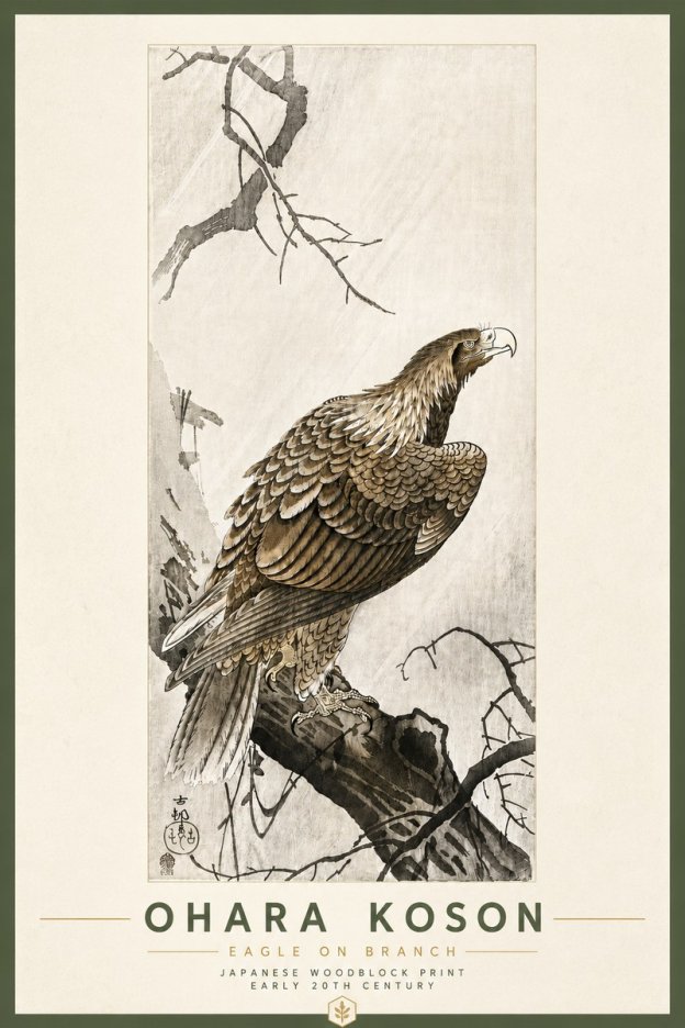 Ohara Koson Eagle on Branch No6 - Juliste