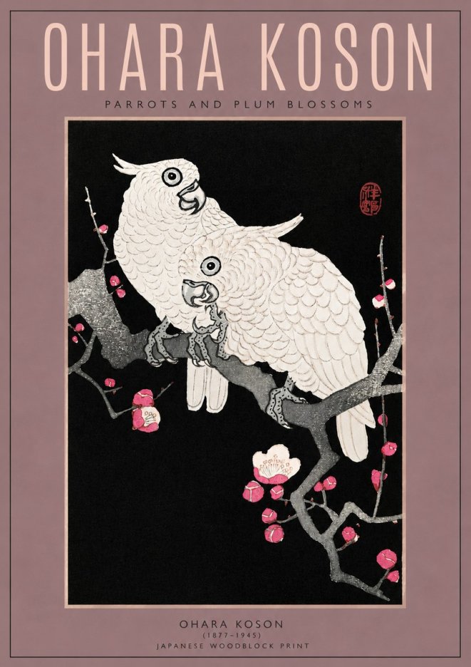 Ohara Koson Parrots and Plum Blossoms No3 - Juliste