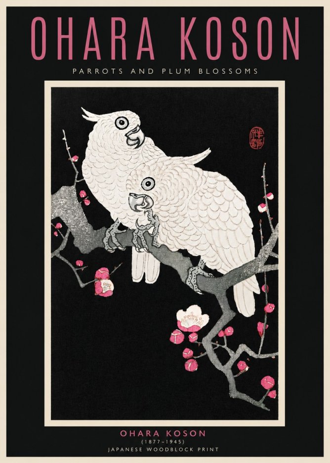 Ohara Koson Parrots and Plum Blossoms No4 - Juliste