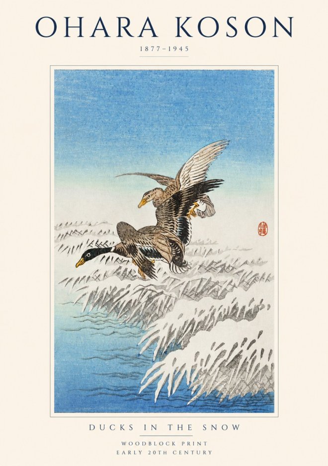 Ohara Koson Ducks in the Snow No1 - Juliste