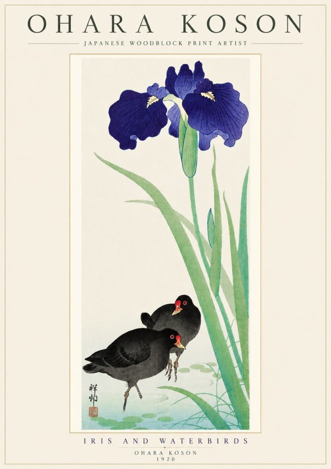 Ohara Koson Iris and Waterbirds No5 - Juliste